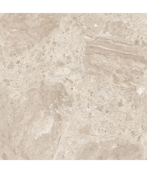 Керамический гранит  ERA BLOOM. BEIGE NAT R120X120