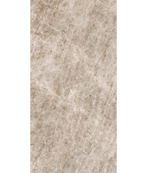 Керамогранит ICONIC LIFE OPAL YAMUNA MAT 60x120 RET