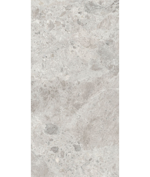 Керамогранит ERA BLOOM. ASH NAT R60X120