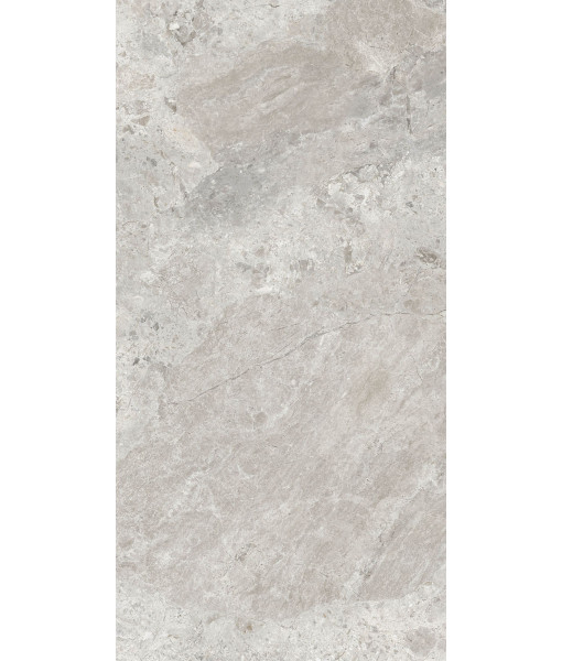 Керамогранит ERA BLOOM. ASH NAT R60X120