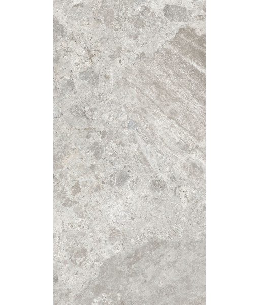 Керамогранит ERA BLOOM. ASH NAT R60X120