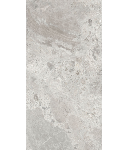 Керамогранит ERA BLOOM. ASH NAT R60X120