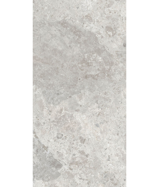 Керамогранит ERA BLOOM. ASH NAT R60X120