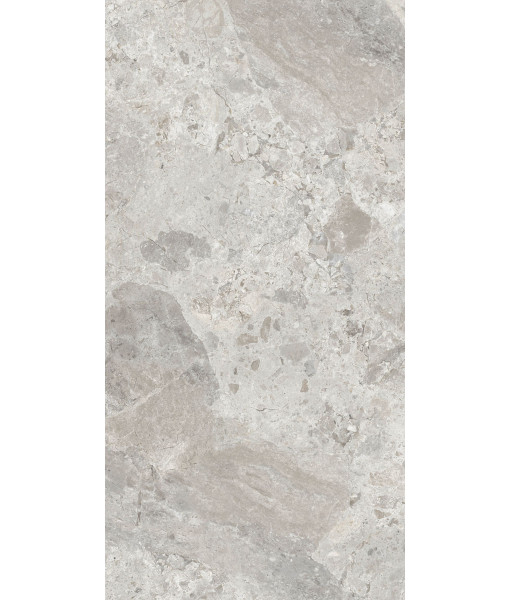 Керамогранит ERA BLOOM. ASH NAT R60X120