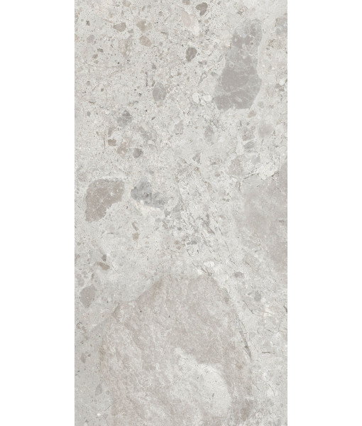 Керамогранит ERA BLOOM. ASH NAT R60X120