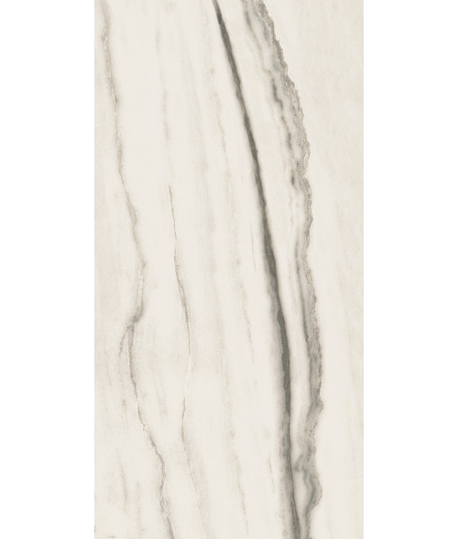 Керамогранит PREXIOUS REX WHITE FANTASY MAT 60X120 R