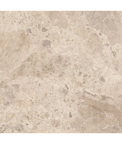 Керамический гранит  ERA BLOOM. TAUPE NAT R120X120