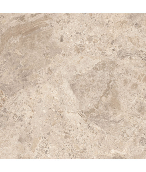 Керамический гранит  ERA BLOOM. TAUPE NAT R120X120