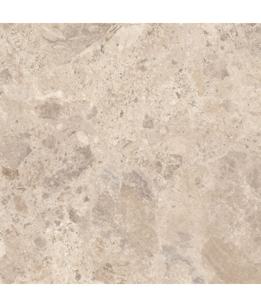 Керамический гранит  ERA BLOOM. TAUPE NAT R120X120