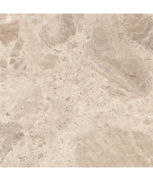 Керамический гранит  ERA BLOOM. TAUPE NAT R120X120