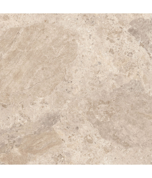 Керамический гранит  ERA BLOOM. TAUPE NAT R120X120