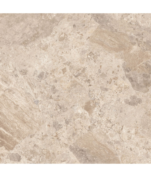 Керамический гранит  ERA BLOOM. TAUPE NAT R120X120