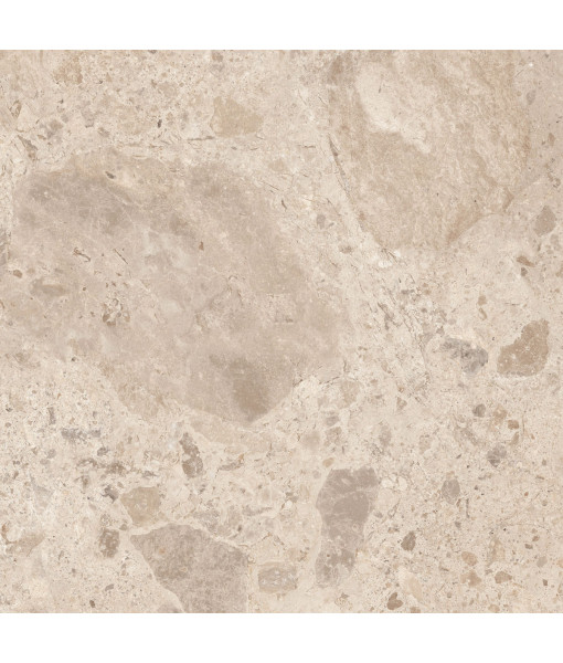 Керамический гранит  ERA BLOOM. TAUPE NAT R120X120