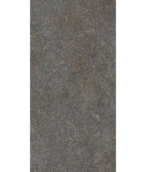 Керамогранит NATIVE FOREST LAP RET  60X120