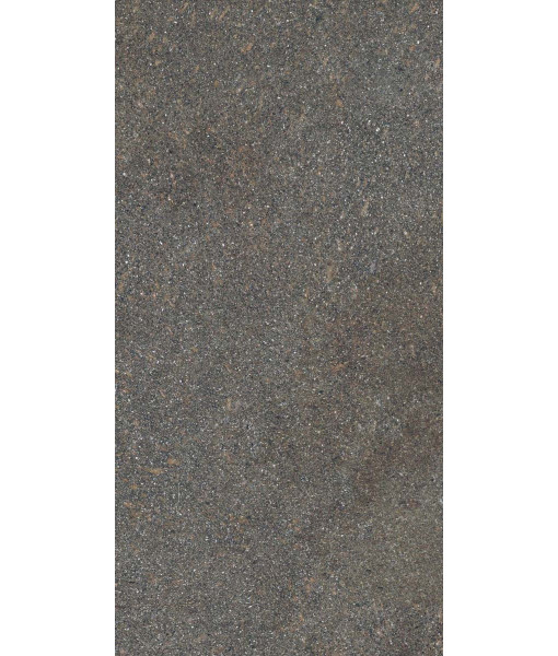 Керамогранит NATIVE FOREST LAP RET  60X120