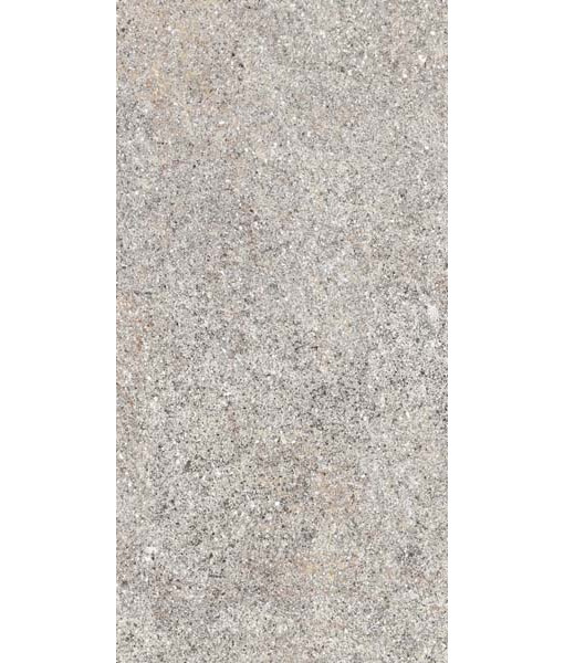 Керамогранит NATIVE ASH RET  30X60