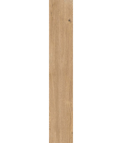 Керамогранит 4 SEASONS  BISCUIT       NAT R20X120