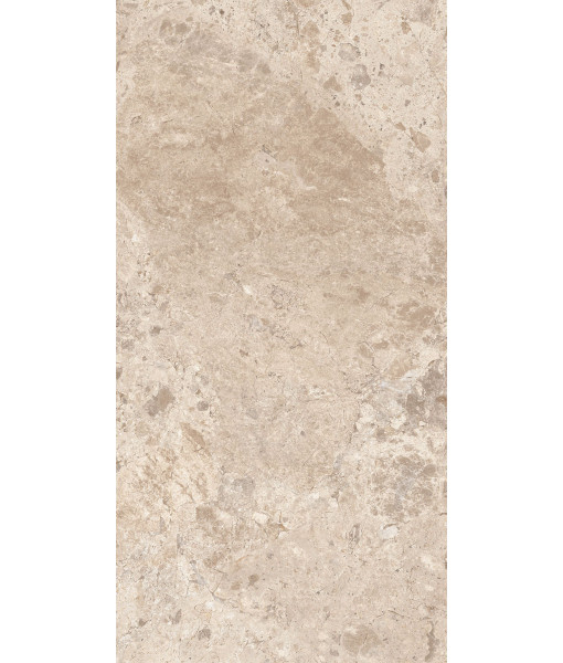 Керамогранит ERA BLOOM. TAUPE NAT R60X120
