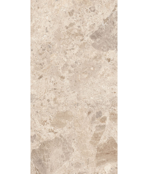 Керамогранит ERA BLOOM. TAUPE NAT R60X120