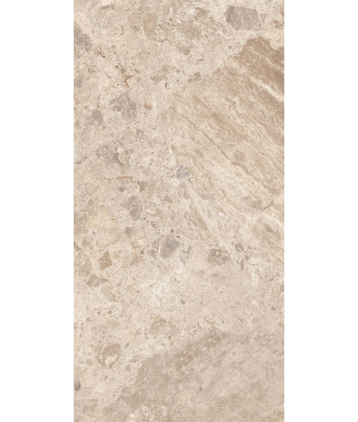 Керамогранит ERA BLOOM. TAUPE NAT R60X120