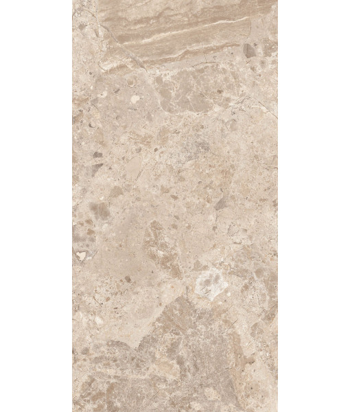 Керамогранит ERA BLOOM. TAUPE NAT R60X120