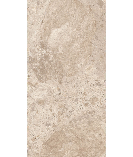 Керамогранит ERA BLOOM. TAUPE NAT R60X120