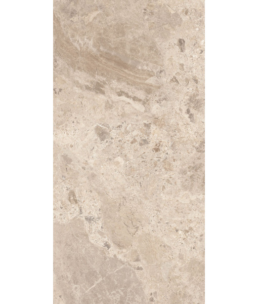 Керамогранит ERA BLOOM. TAUPE NAT R60X120