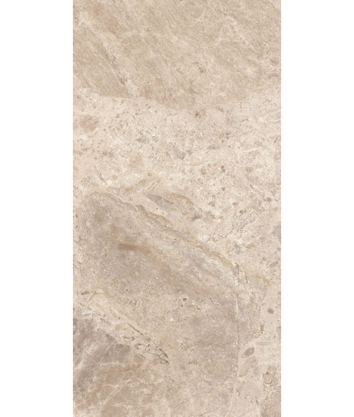 Керамогранит ERA BLOOM. TAUPE NAT R60X120