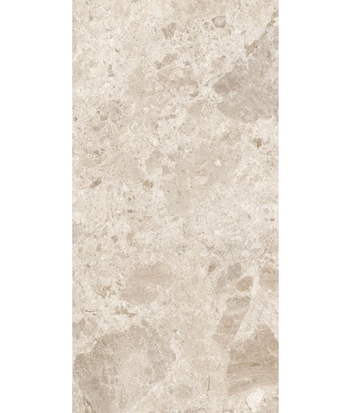 Керамогранит ERA BLOOM. BEIGE NAT R60X120