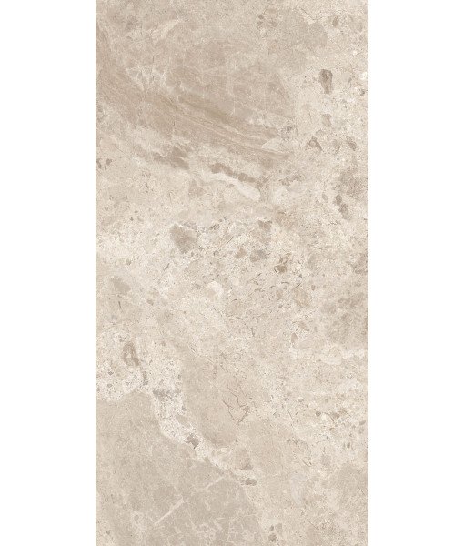 Керамогранит ERA BLOOM. BEIGE NAT R60X120