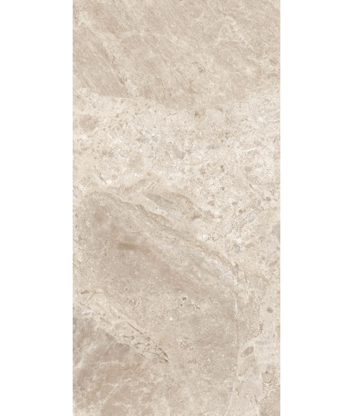 Керамогранит ERA BLOOM. BEIGE NAT R60X120