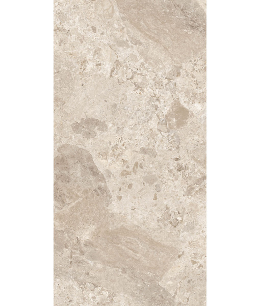 Керамогранит ERA BLOOM. BEIGE NAT R60X120