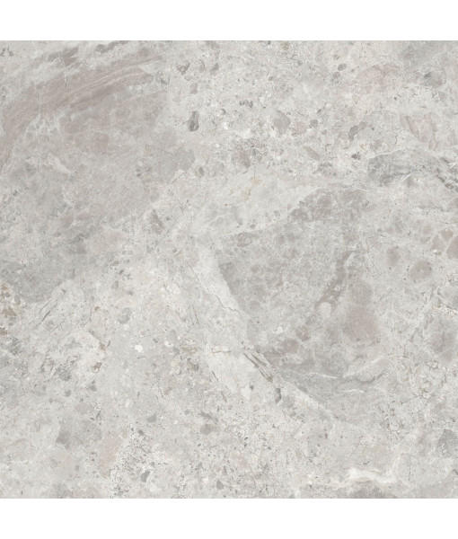 Керамический гранит  ERA BLOOM. ASH NAT R120X120