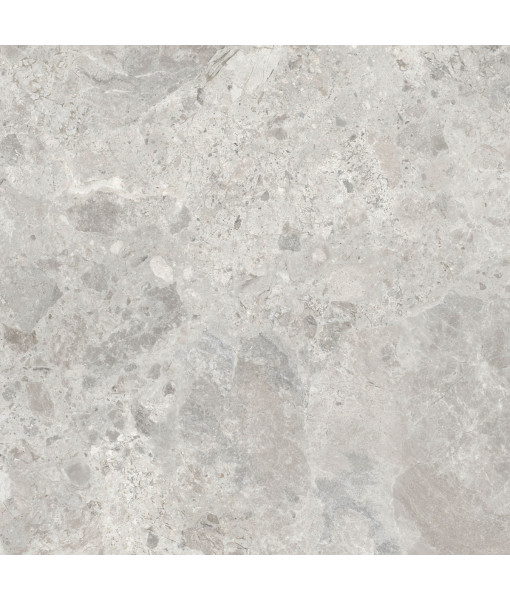 Керамический гранит  ERA BLOOM. ASH NAT R120X120