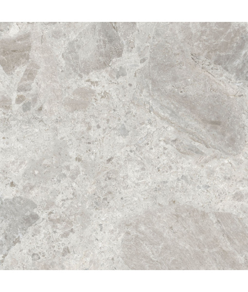 Керамический гранит  ERA BLOOM. ASH NAT R120X120