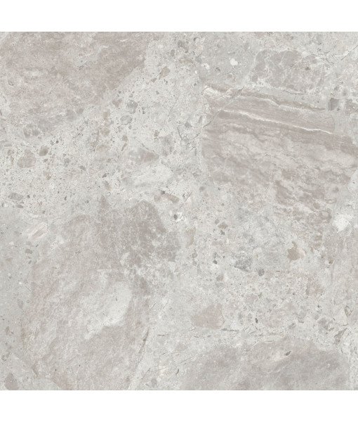 Керамический гранит  ERA BLOOM. ASH NAT R120X120