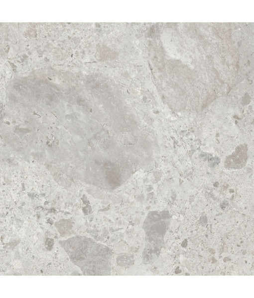 Керамический гранит  ERA BLOOM. ASH NAT R120X120