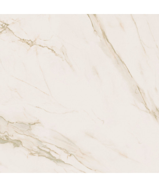 Керамогранит SUPREME EVO SUPREME CALACATTA EXTRA lux+re 120X120