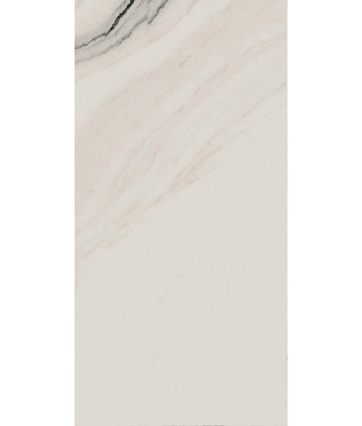Керамогранит PAN WH6 12 RM	60x120