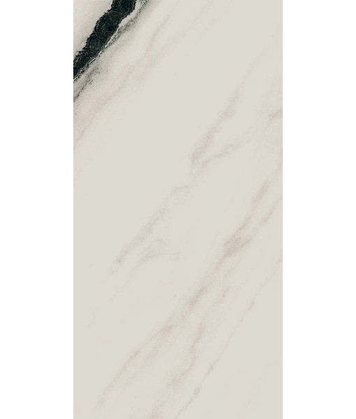 Керамогранит PAN WH6 12 RM	60x120