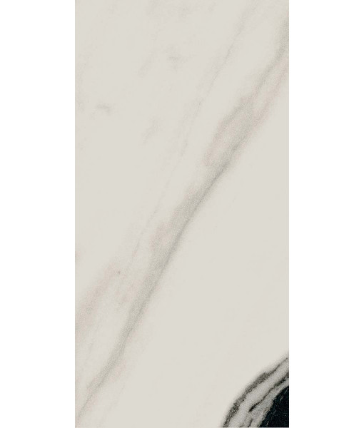 Керамогранит PAN WH6 12 RM	60x120