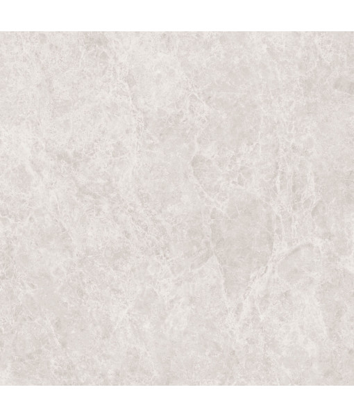 Керамический гранит  ERA DELIC. IVORY NAT R120X120