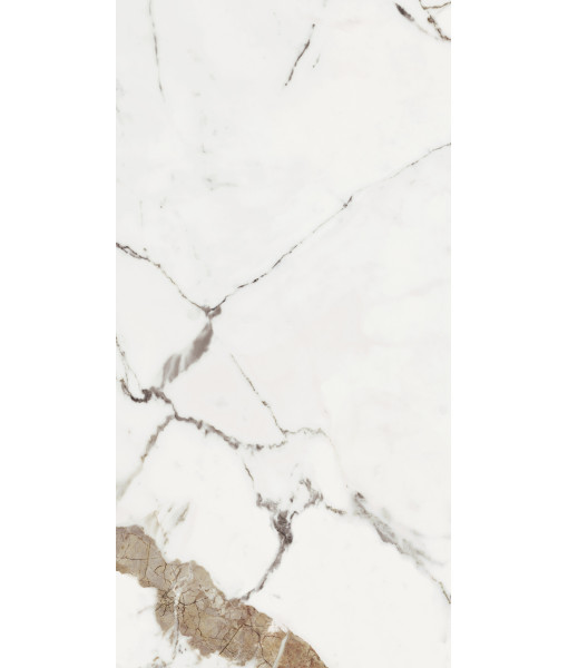 Керамогранит LES ORIGINES DE REX  OR GLOSSY 60X120