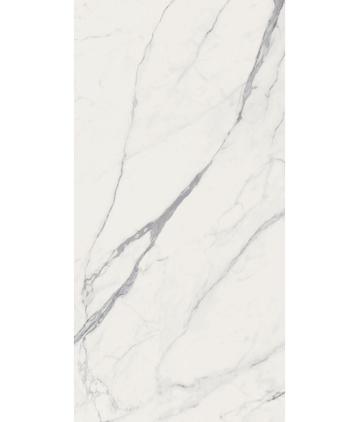 Керамогранит SNS.SIGN STATUARIO LIGHT LUX R 60Х120