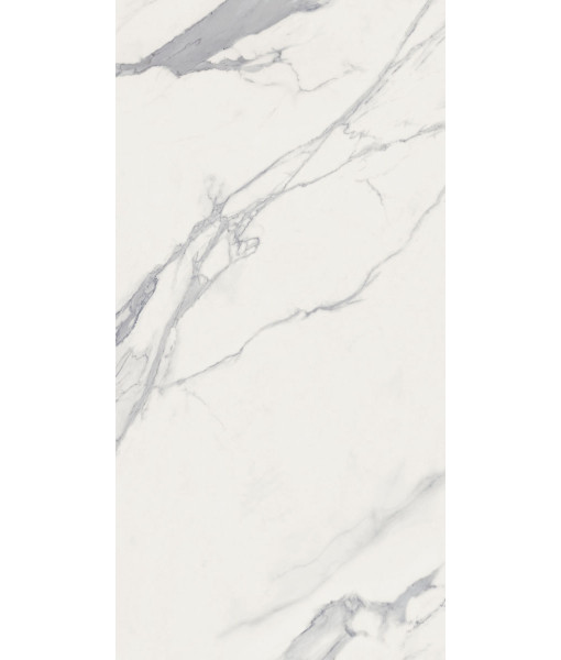 Керамогранит SNS.SIGN STATUARIO LIGHT LUX R 60Х120