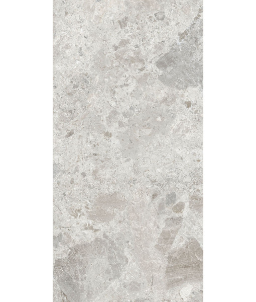 Керамогранит ERA BLOOM. ASH LAP R60X120