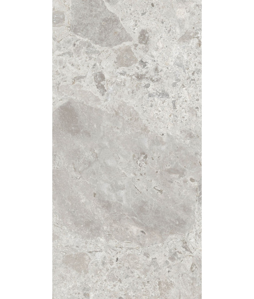 Керамогранит ERA BLOOM. ASH LAP R60X120