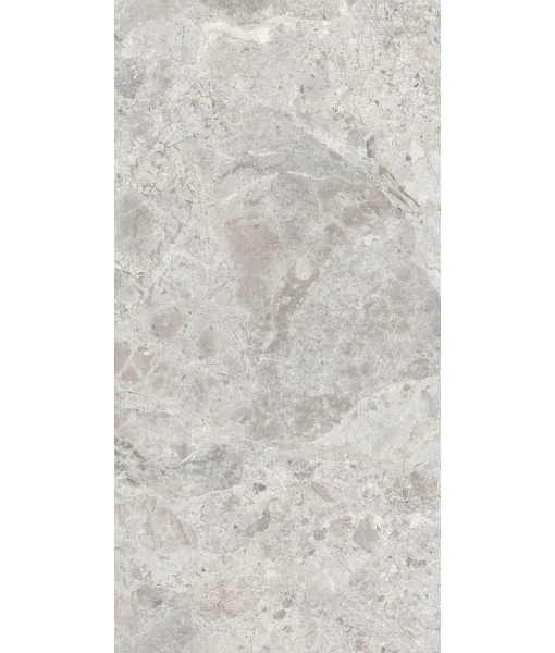 Керамогранит ERA BLOOM. ASH LAP R60X120