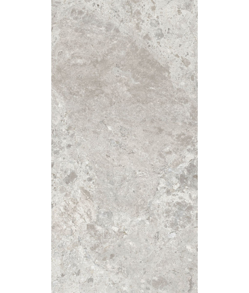 Керамогранит ERA BLOOM. ASH LAP R60X120